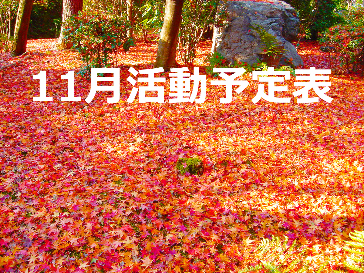 2015年11月の活動予定表