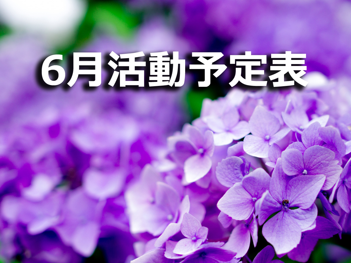 2019年5月の活動予定表